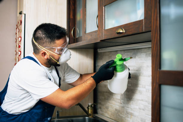 Best Mosquito Control Services  in Youngstown, OH