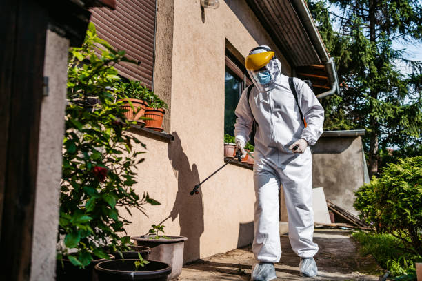 Best Affordable Pest Control Services  in Youngstown, OH